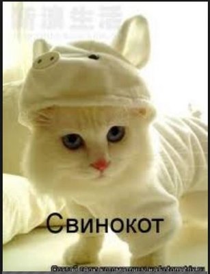Capture.JPG