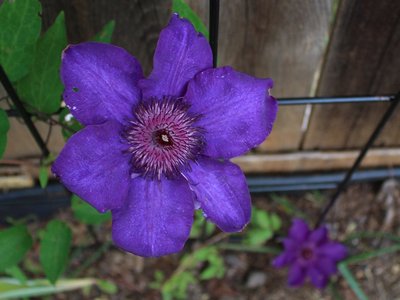 IMG_3272 - Copy.JPG