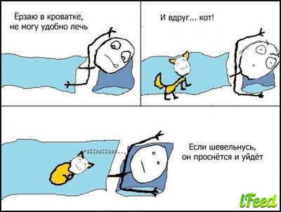 x_5e3bcf64.jpg