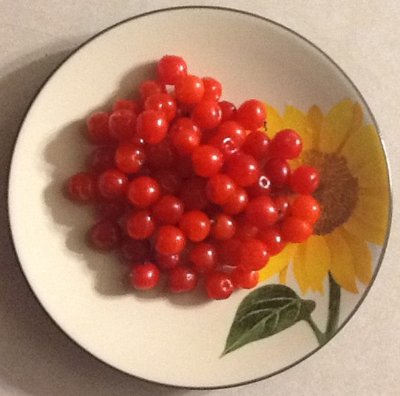 photo - Copy.jpg