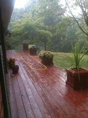 nata's 13 068 -n.jpg