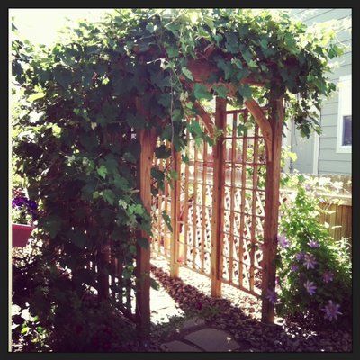 photo(10).JPG