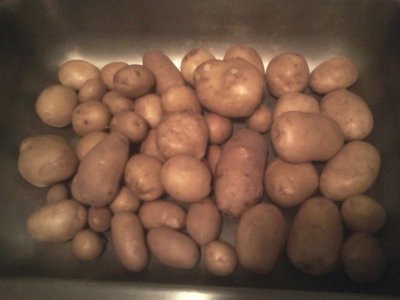 2013-06-14 16.08.56 (500x375).jpg