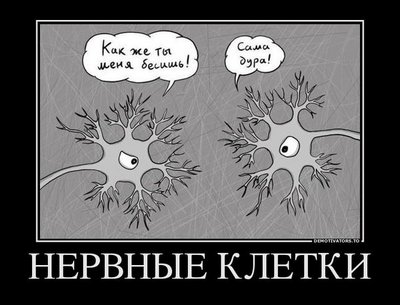 Нервные клетки.jpg