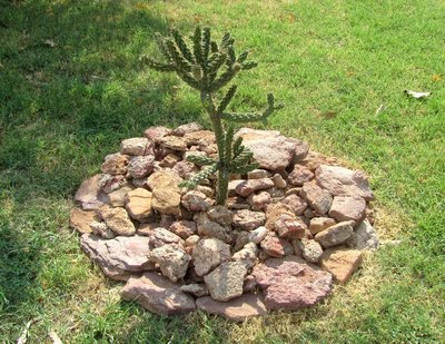 моя пустыня.JPG