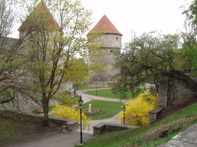 P1010022.JPG