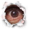 2e2.gif