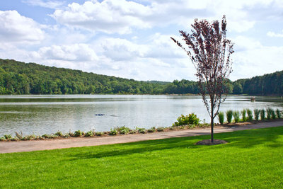 wobh 009.jpg