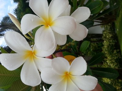 20130807_070252.jpg