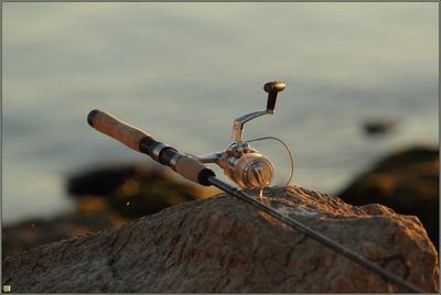 Fishing pole.jpg