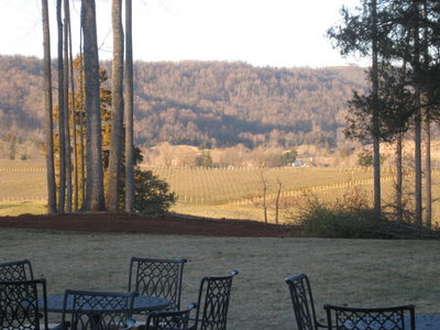 IMG_7265.JPG