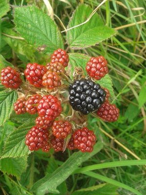 20130831_140711.jpg
