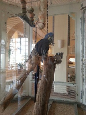 20130807_062555.jpg