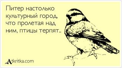 piter.jpg