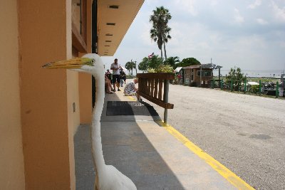 IMG_3119.JPG