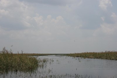 IMG_3103.JPG