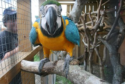 IMG_3131.JPG