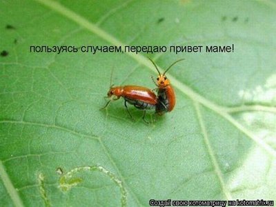 getImageCAFM9PHR.jpg