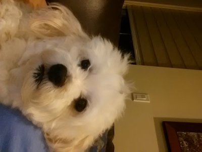 20130917_202430.jpg