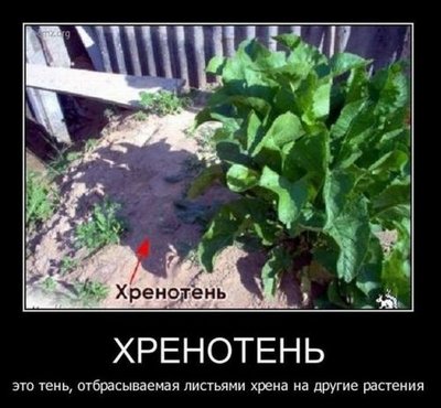 Хренотень.jpg