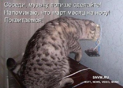 1265309242_bnail.jpg