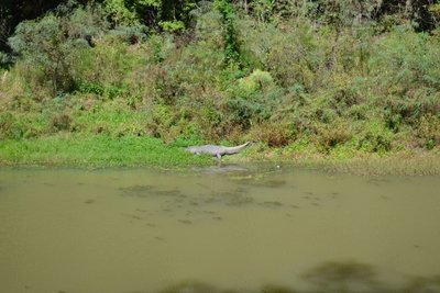 smallDSC_1468.jpg