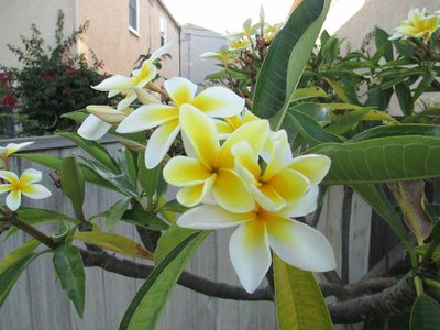 IMG_0436.JPG