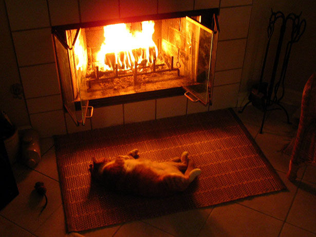 Cat_in_Front_of_a_Fireplace.jpg