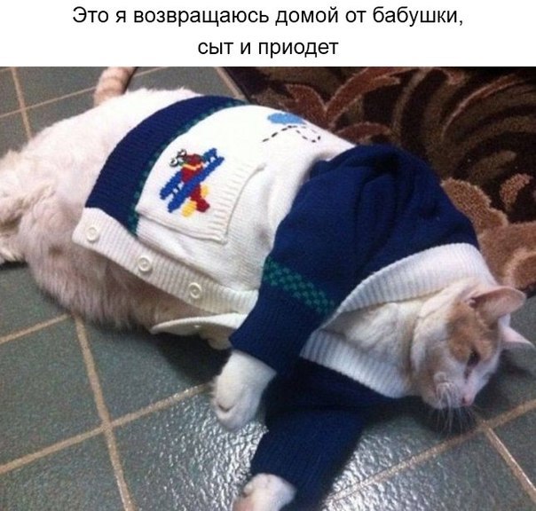 image.jpg