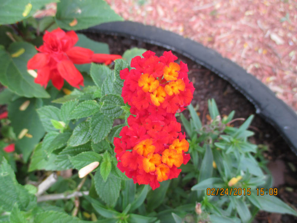 IMG_0366.jpg
