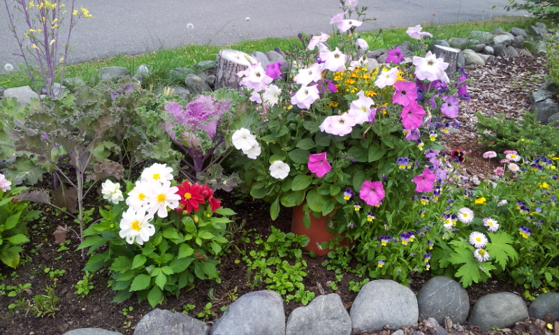 20140811_193634.jpg