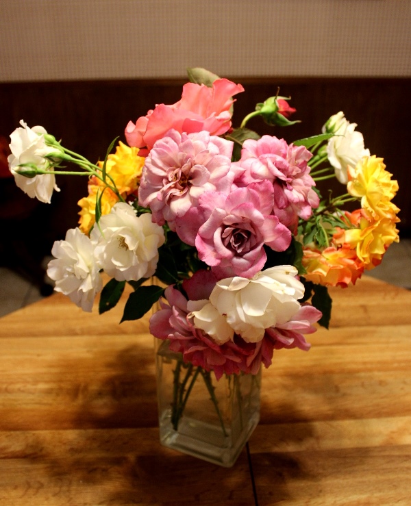 IMG_7206 - Copy.JPG