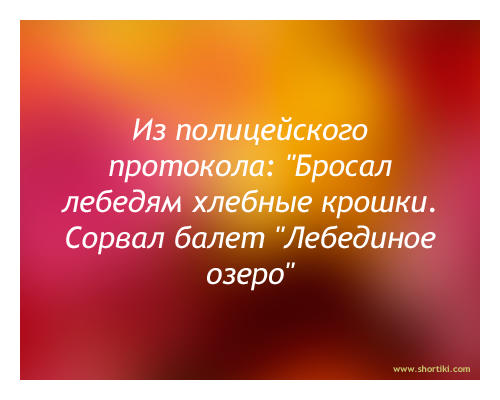 27b669059c2e493941334520a42b97e5cadfade69e7f44ded2e61e255c0e42db_1.jpg