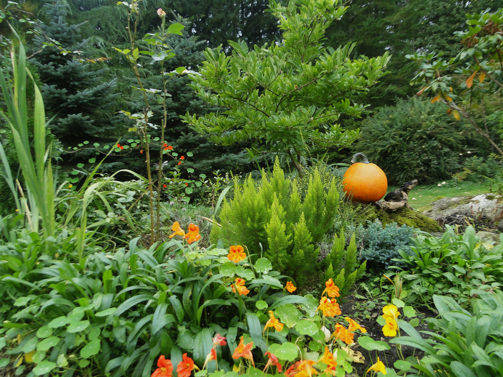 image (91).jpg