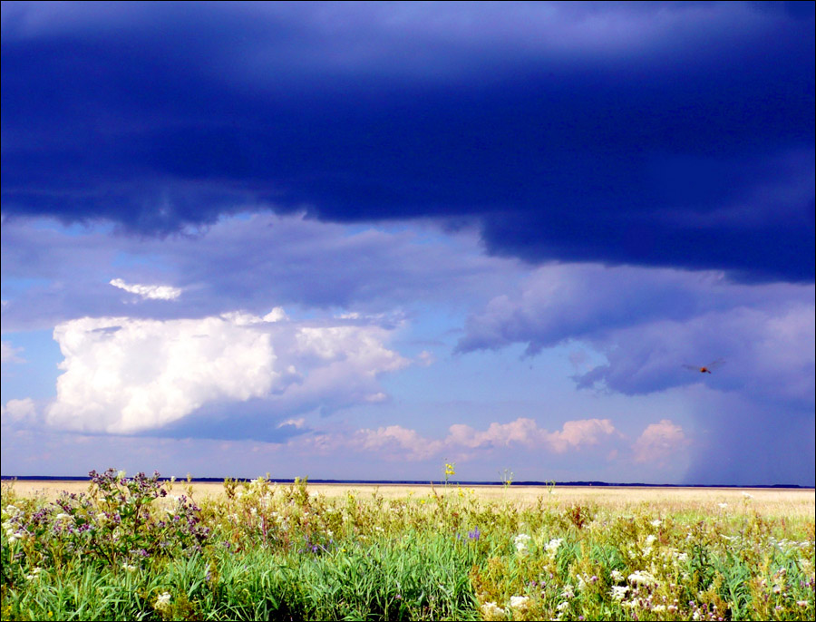 novosibirsk-oblast-scenery.jpg