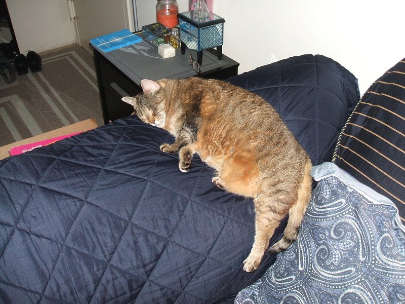 DSCF4604.JPG