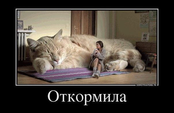 20155212210370.jpg