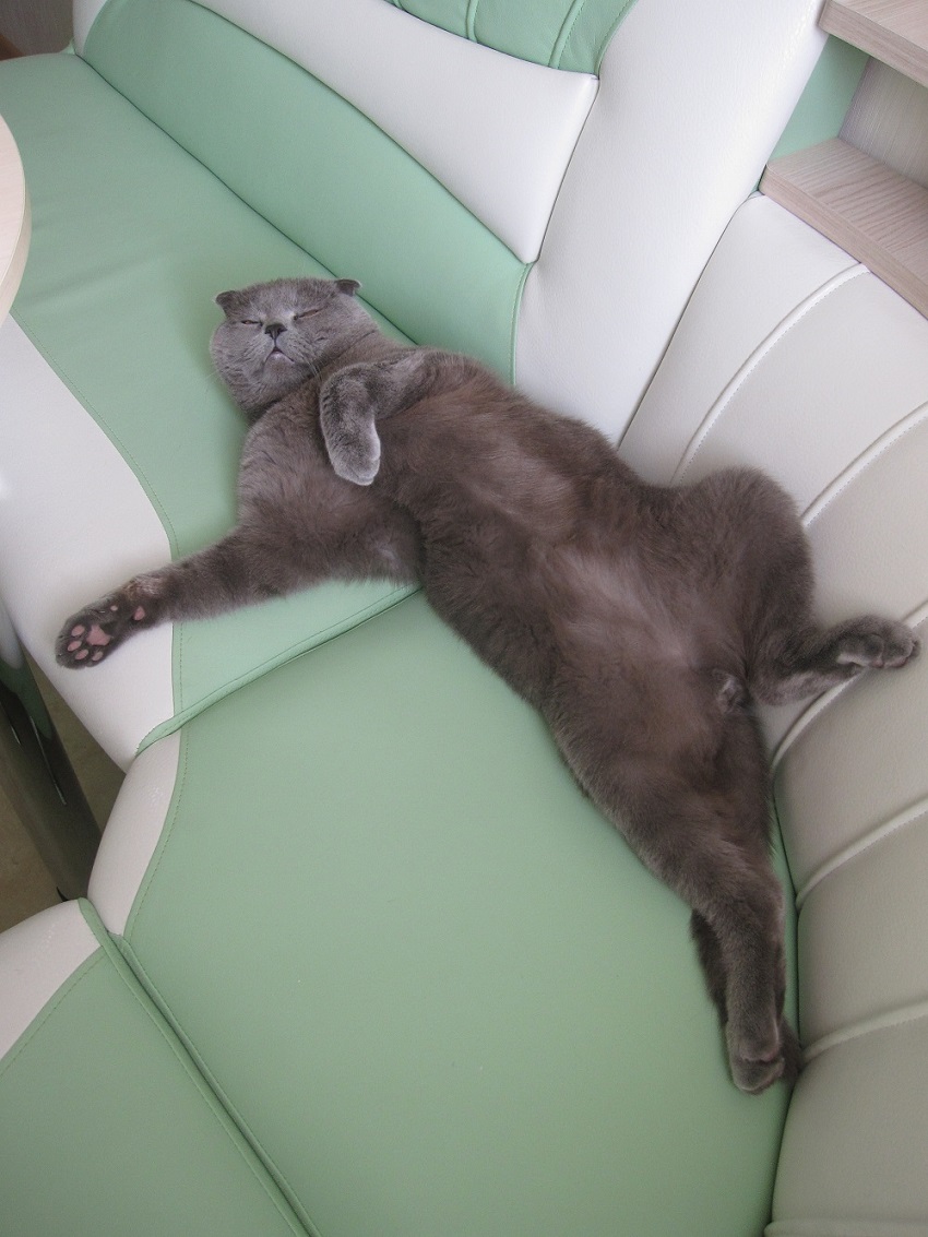 IMG_3090 — копия.JPG