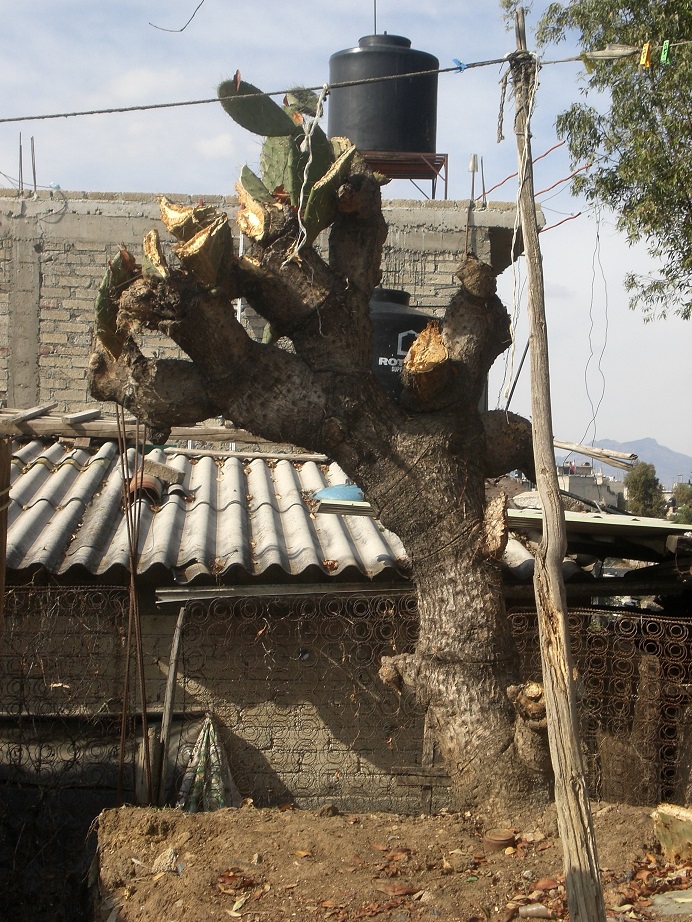 mexico 045.jpg