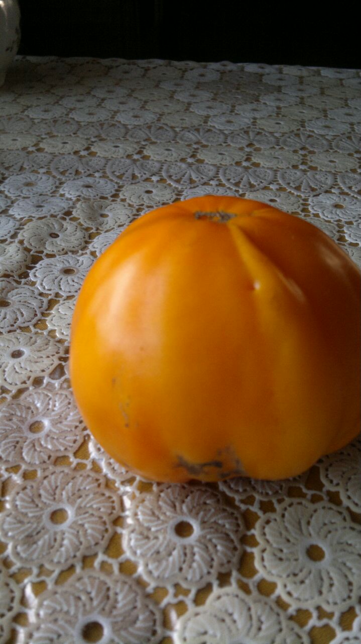 IMG-20150809-WA0010.jpg