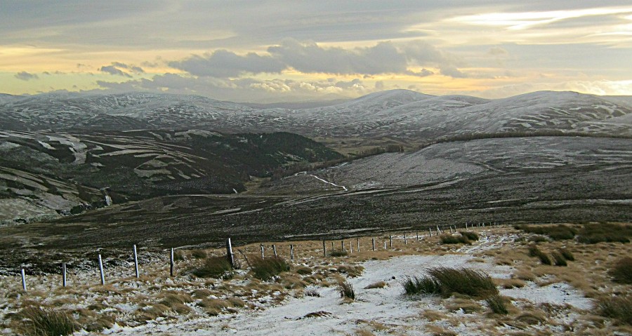132995_900.jpg