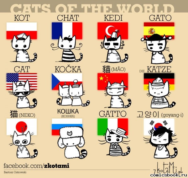 Прикол-Котики-в-разных-странах--68218.jpg