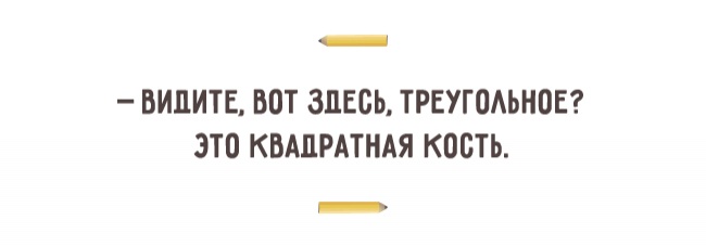 15382760-R3L8T8D-650-o-01.jpg