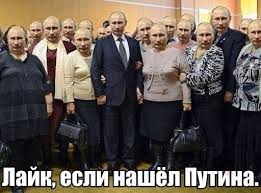 7777777.jpg