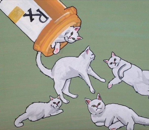 6lXqVmmnAlc.jpg