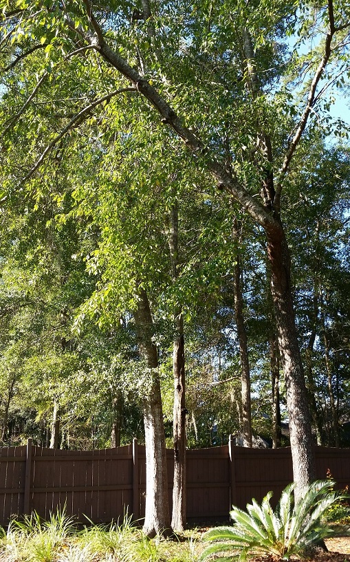 20150920_093117.jpg