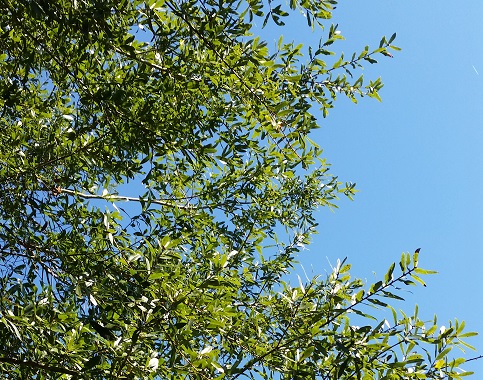 20150920_093146.jpg