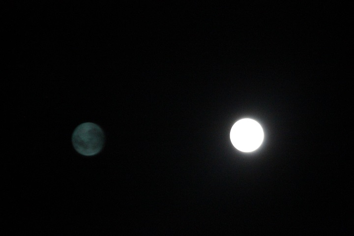 luna.jpg