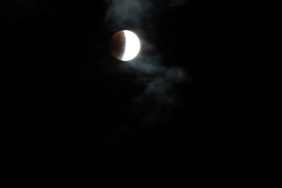 luna2.jpg