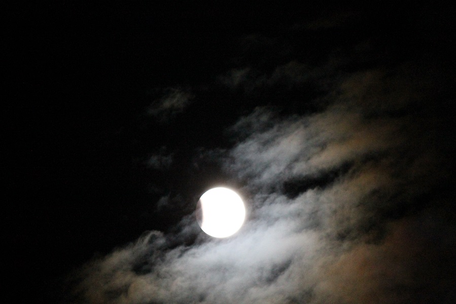 luna1.jpg